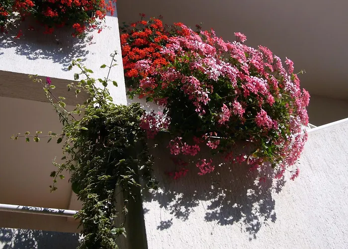 Apartments Villa Martinuzzi