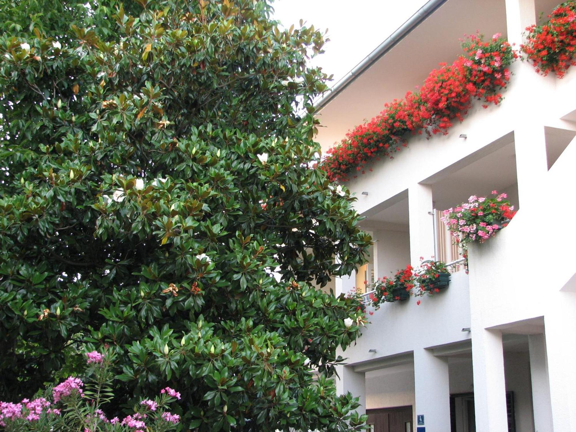 Apartment Apartments Villa Martinuzzi *