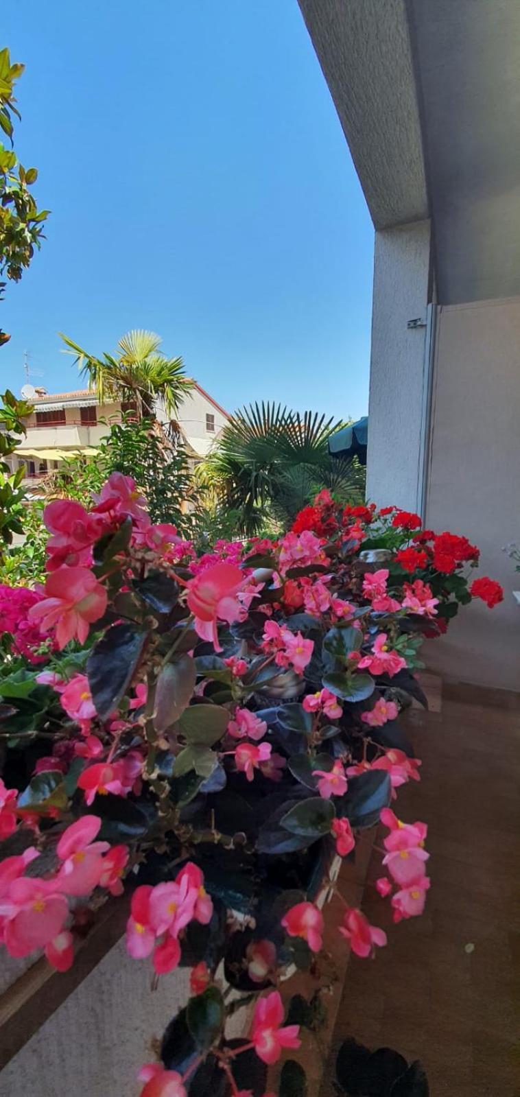 Apartments Villa Martinuzzi *