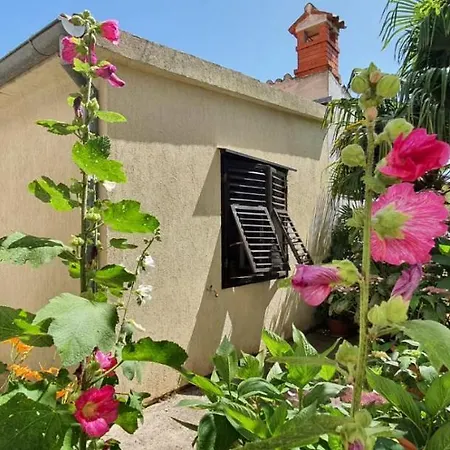 Apartments Villa Martinuzzi Rovinj Chambre photo