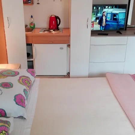 Apartments Villa Martinuzzi Rovinj Extérieur photo