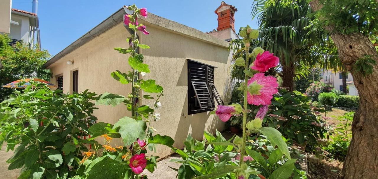Martinuzzi Appartement *