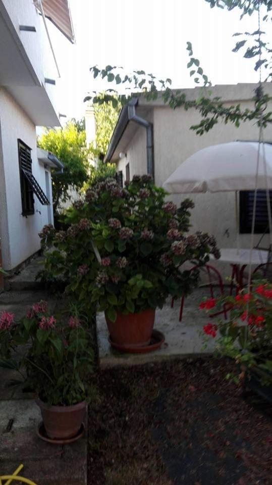 Apartments Villa Martinuzzi Apartment