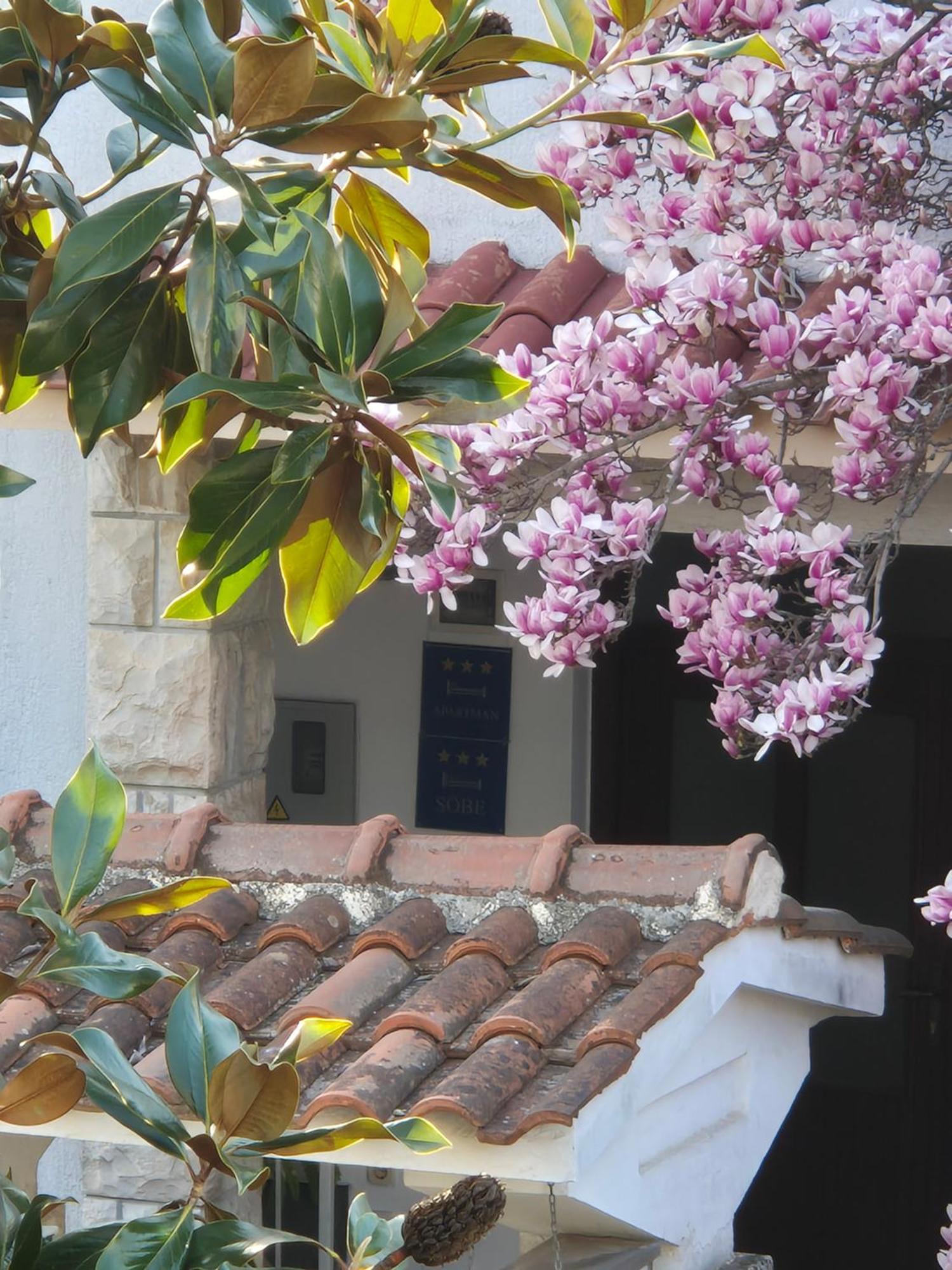 Martinuzzi Appartement Rovinj