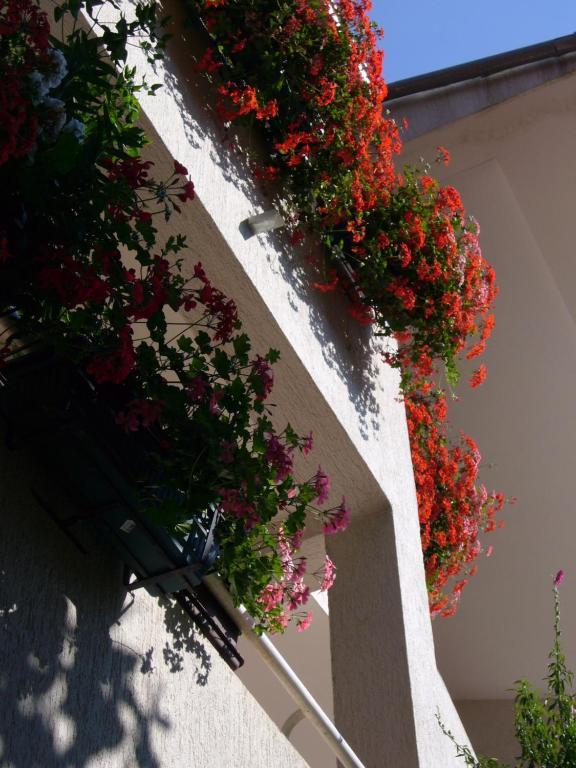 Apartments Villa Martinuzzi