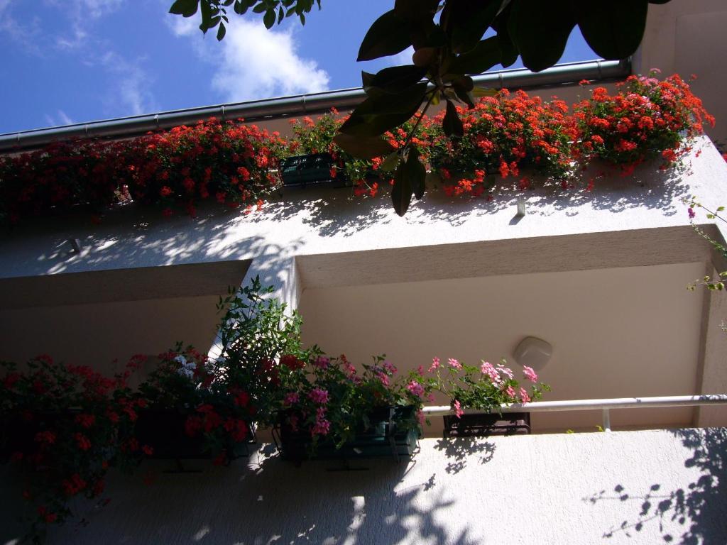 Martinuzzi Appartement